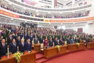 Dai bieu chao co