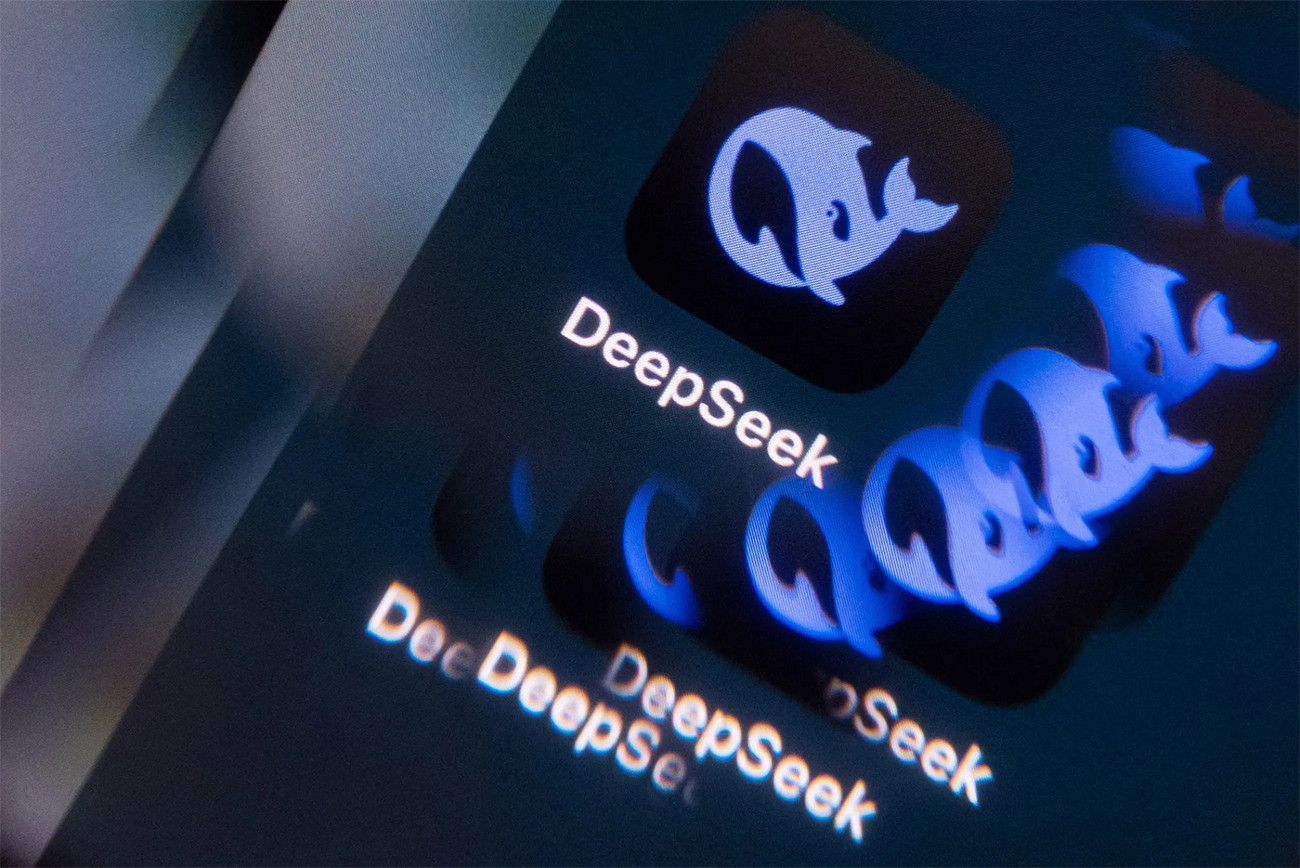 deepseek 28033